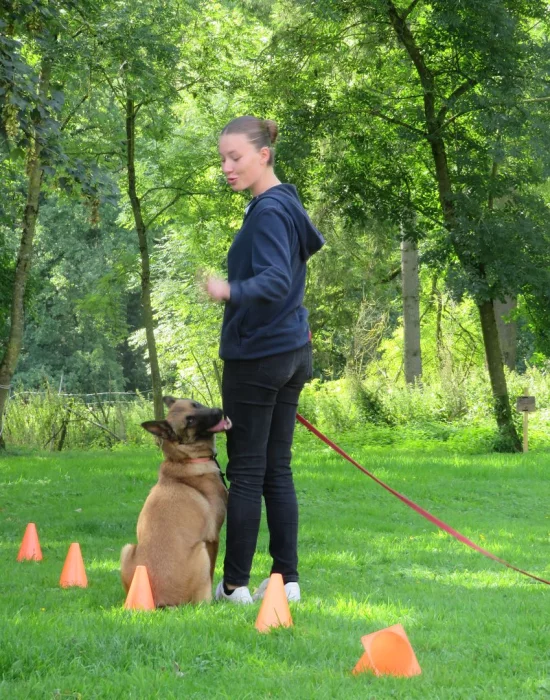 20180302_zootherapie_exercice_du_chien_et_de_la_chaise.jpg zootherapie exercice du chien et de la chaise pour PMR